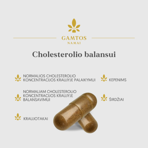 Cholesterolio balansui