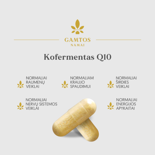 Kofermentas Q10