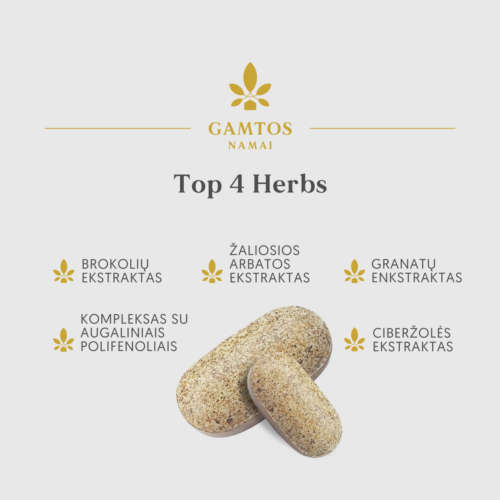 Top 4 Herbs