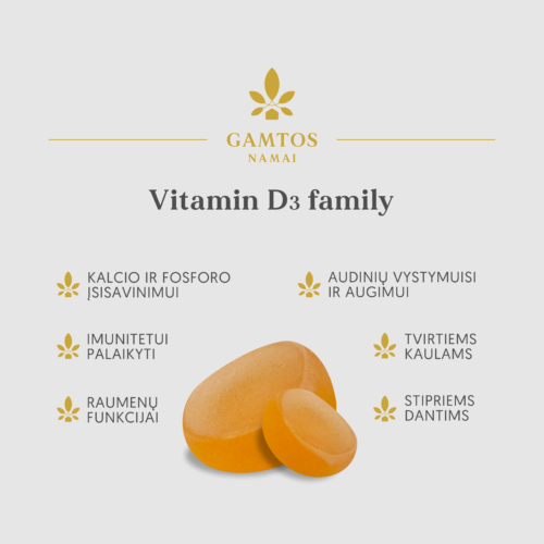 Vitamin-D-Family