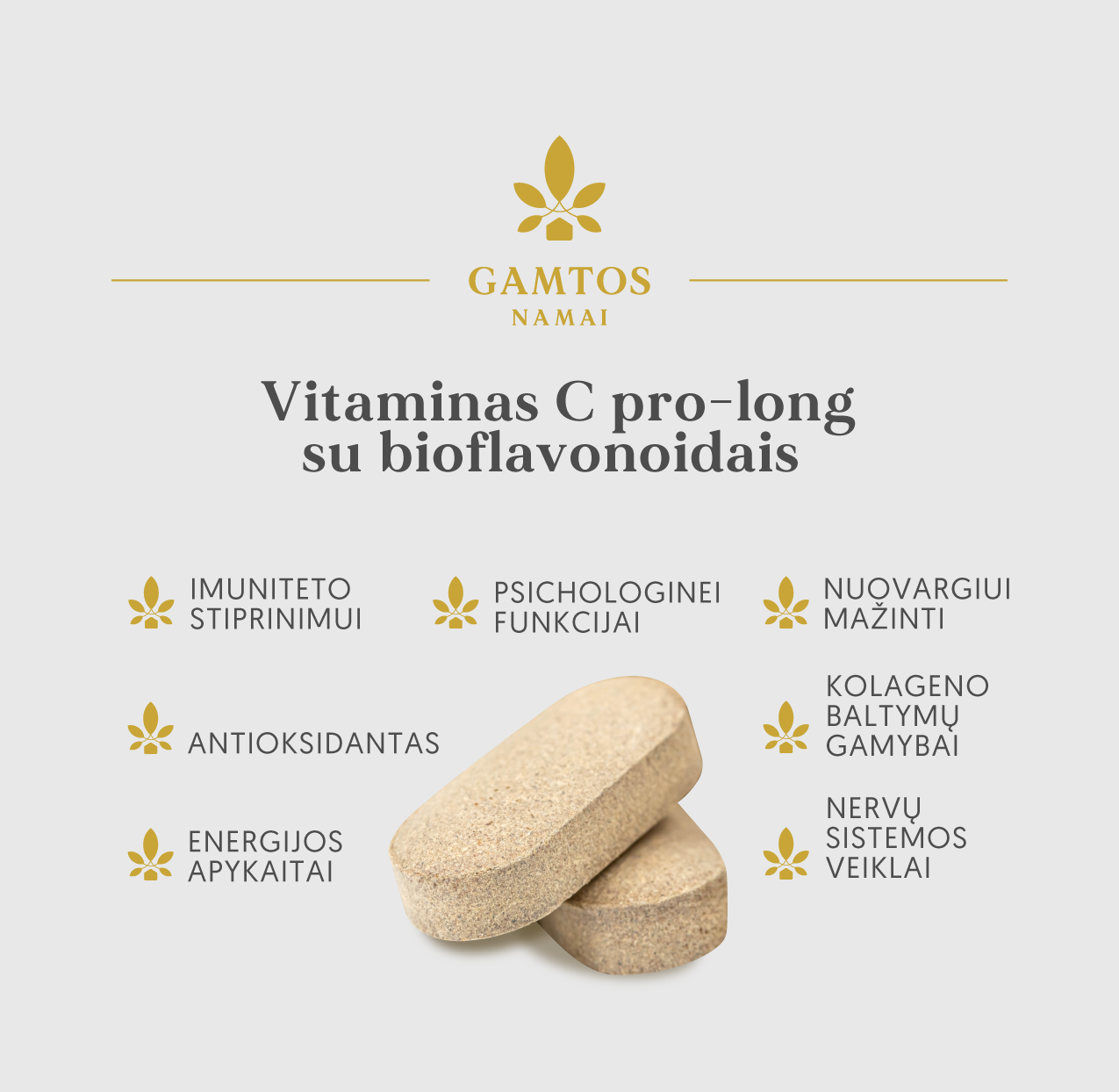 VITAMINAS C PROLONG SU BIOFLAVANOIDAIS 500 mg N90