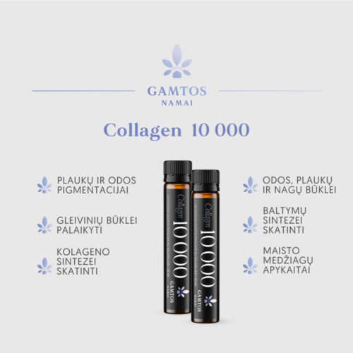 GN_Collagen-10-000_Punktai