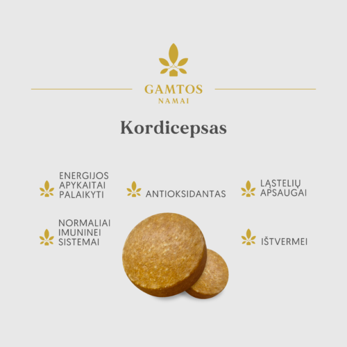 Kordicepsas